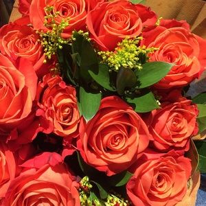 Meet your Posher, Deanna